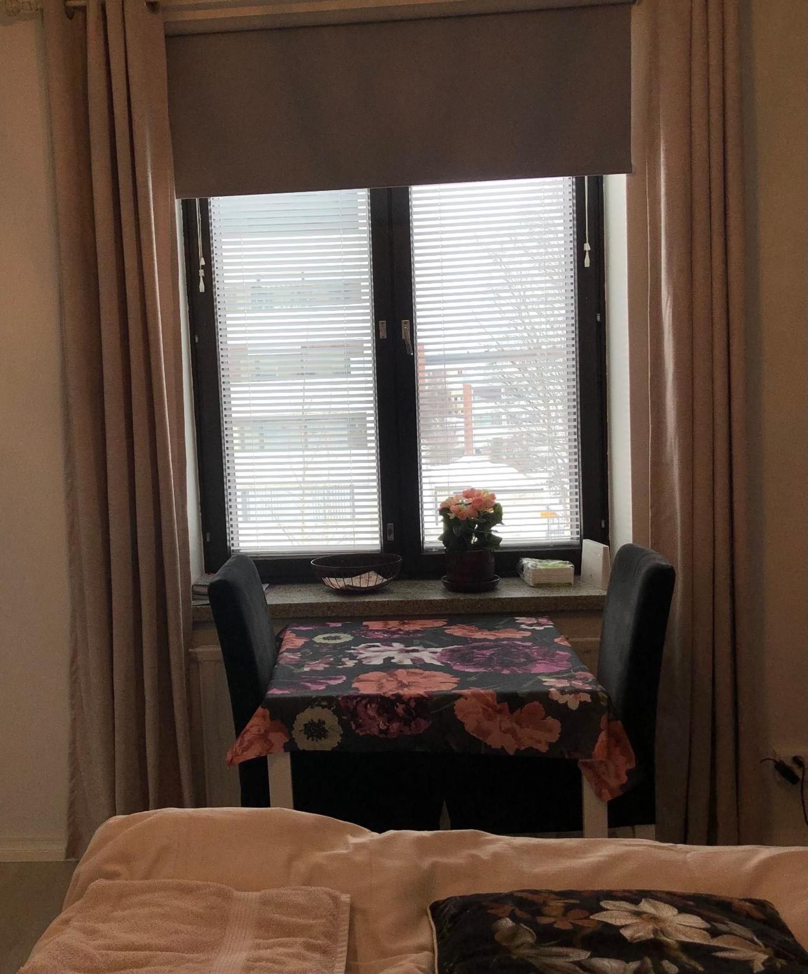Studio In The City Center Free Private Parking Kemi Eksteriør billede